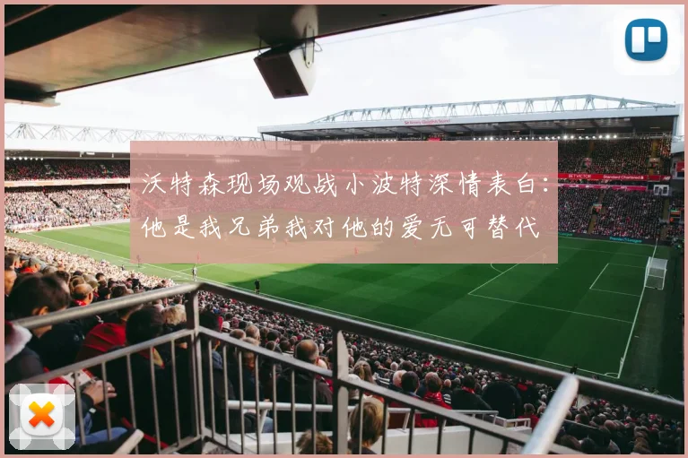 沃特森现场观战小波特深情表白：他是我兄弟我对他的爱无可替代